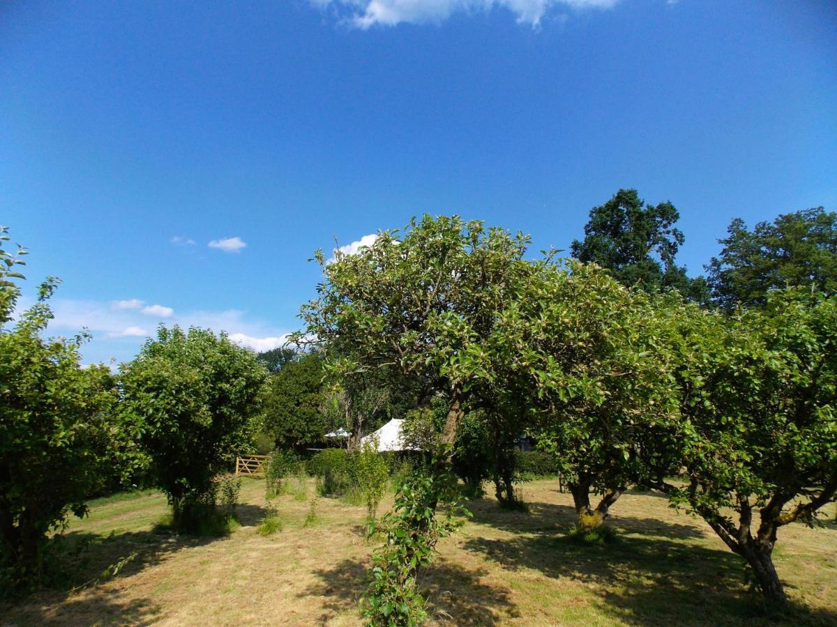 Hope Cottage Bell Tent Retreat Ashbourne  Dış mekan fotoğraf